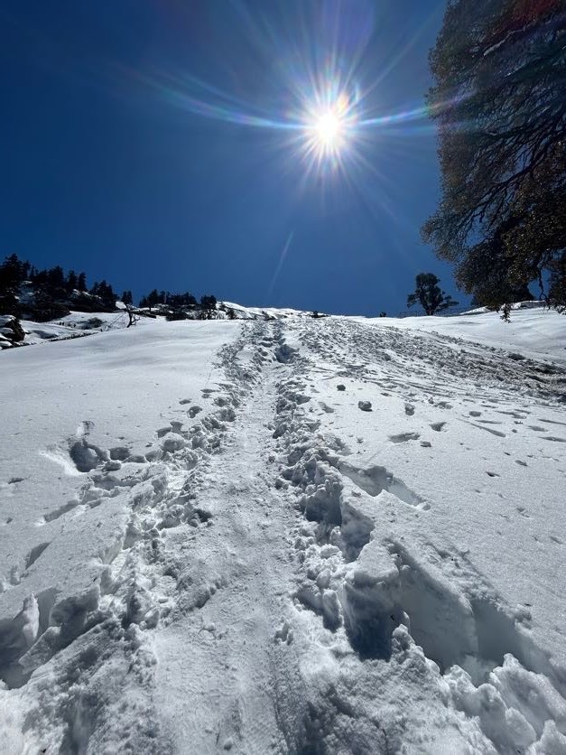 Chopta