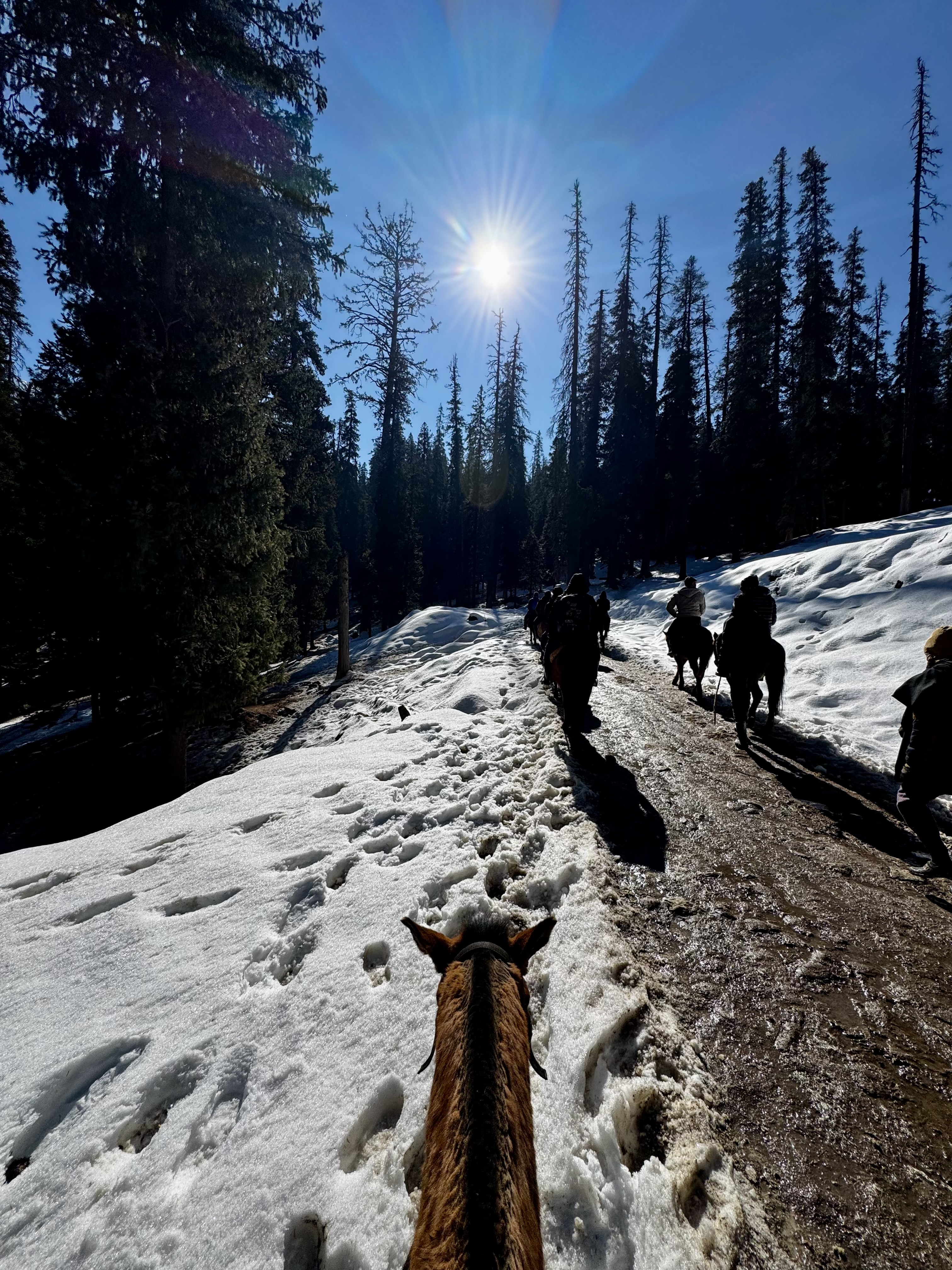 Kashmir