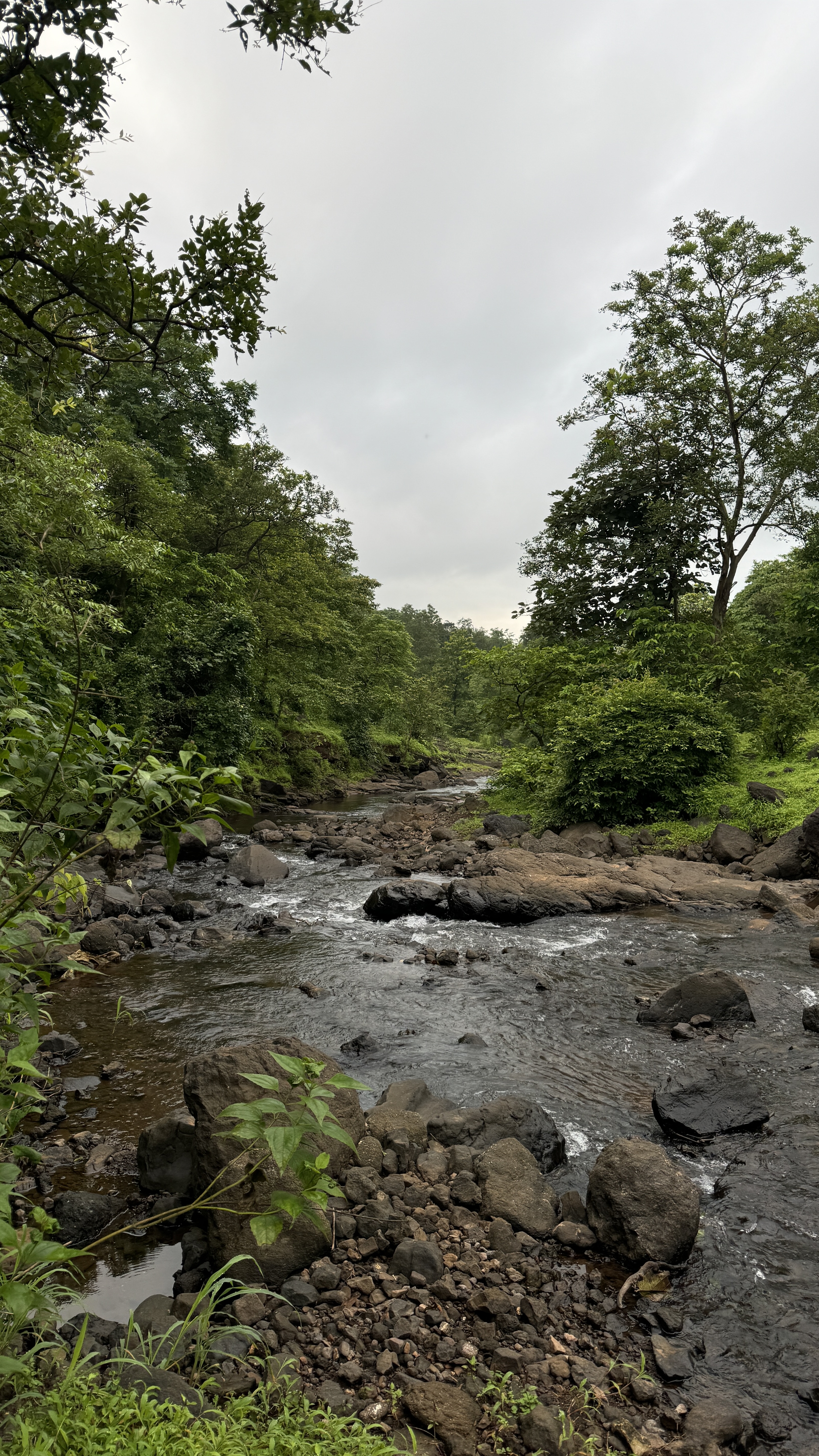 Pune